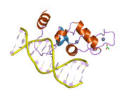 2a66: Human Liver Receptor Homologue DNA-Binding Domain (hLRH-1 DBD) in Complex with dsDNA from the hCYP7A1 Promoter