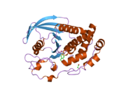 2cjz: CRYSTAL STRUCTURE OF THE C472S MUTANT OF HUMAN PROTEIN TYROSINE PHOSPHATASE PTPN5 (STEP, STRIATUM ENRICHED PHOSPHATASE) IN COMPLEX WITH PHOSPHOTYROSINE