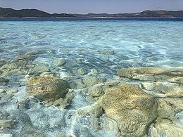 Microbialites in the Lake Salda rocks of Turkey