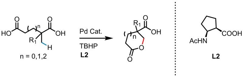 File:Reaction 11.tif