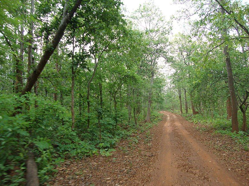 File:SIMILIPAL FOREST RANGE.jpg