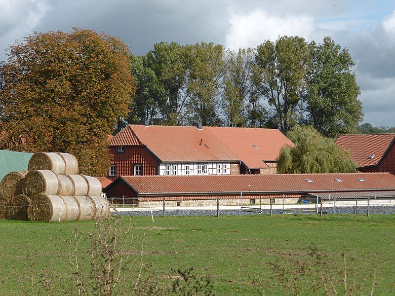 File:Saalsdorf Idyll.jpg