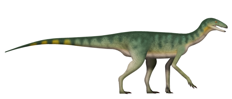 File:Silesaurus UDL.png