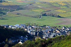 The village of Veldenz as seen from Veldenz Castle