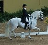 Kristina Harrison-Naness riding Rociero at the 2007 FEI World Cup Finals