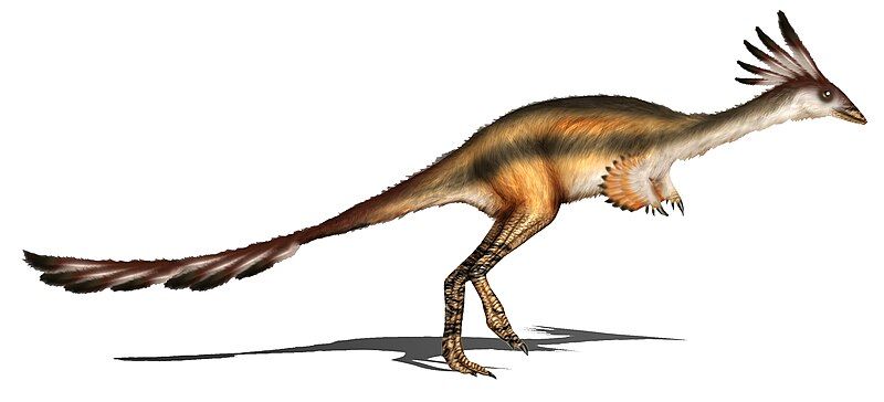 File:Alvarezsaurus calvoi.jpg