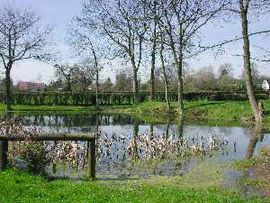 The lake in Bourg-Beaudouin