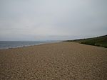 Looking west down Chesil Beach by Abbotsbury