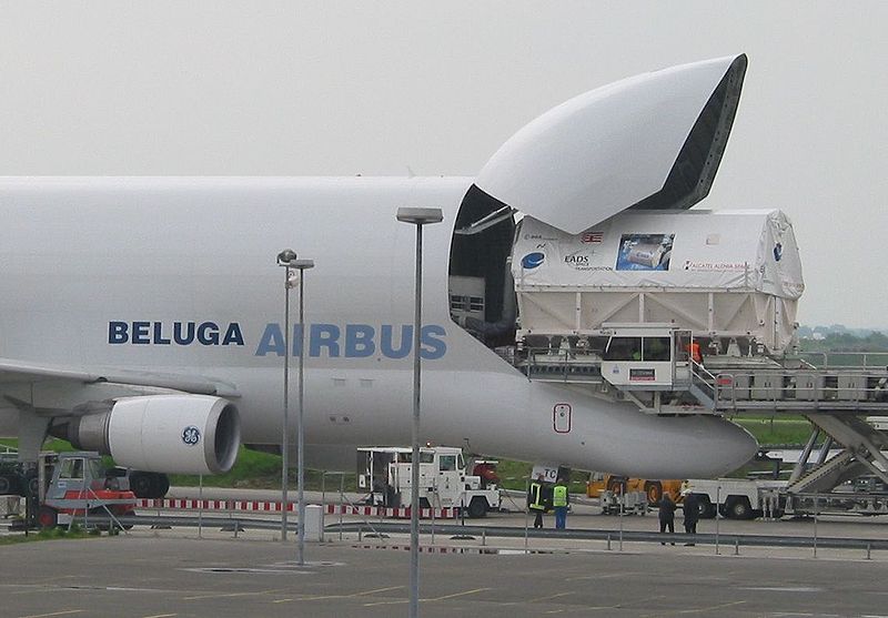 File:Columbus beluga.jpg