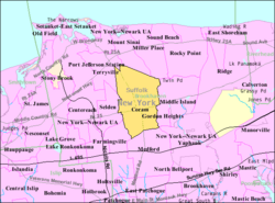 U.S. Census map