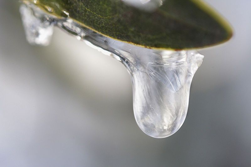 File:Frozen droplet.jpg