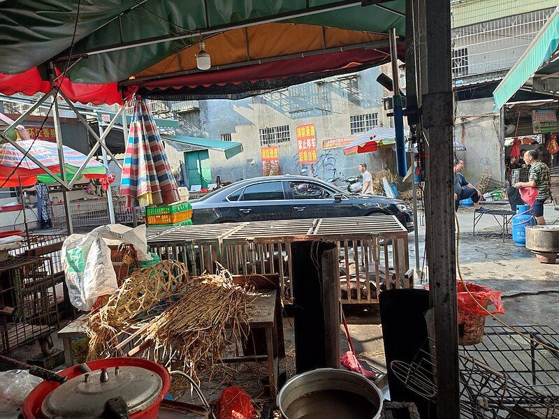 File:Huanjiang Market.jpg