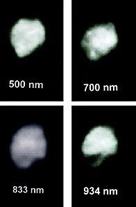 Juno seen at four wavelengths with a large crater in the dark (Hooker telescope, 2003