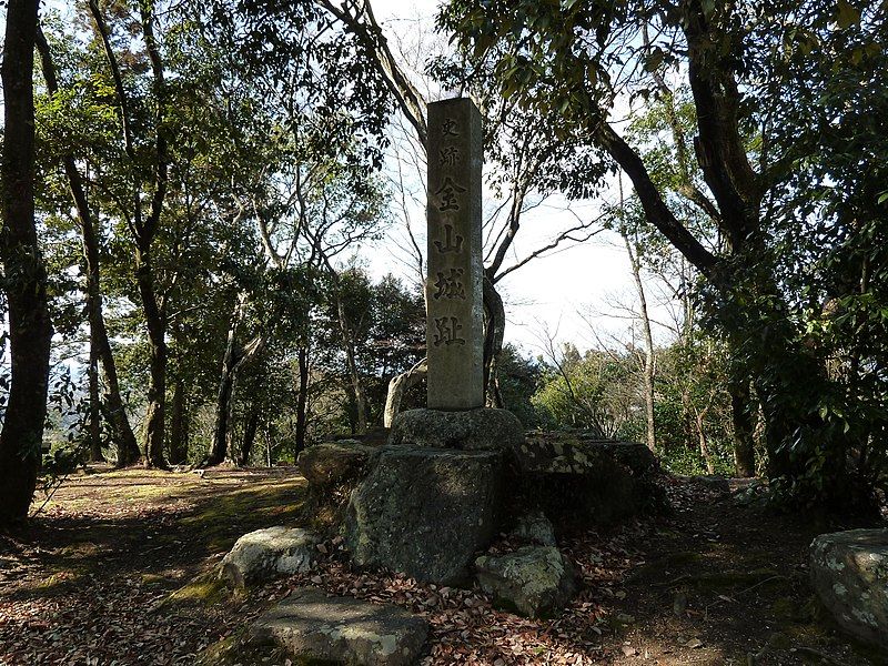 File:Kaneyama castle.JPG