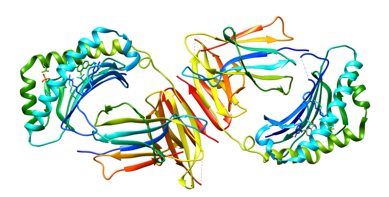 File:MR1 protein.png