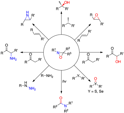 Oxaziridine Reactions