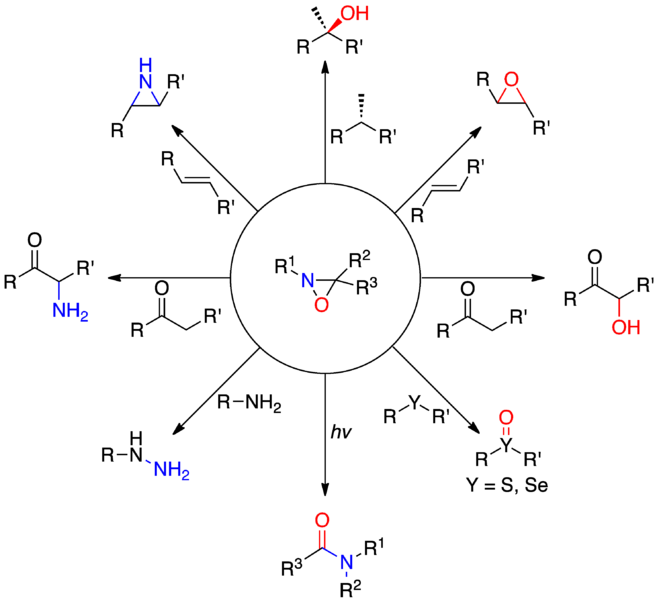 File:Oxaziridine reactions.png