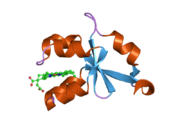 1u9u: Crystal structure of F58Y mutant of cytochrome b5