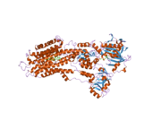 2c8k: CRYSTAL STRUCTURE OF (SR) CALCIUM-ATPASE E2(TG) WITH PARTIALLY OCCUPIED AMPPCP SITE