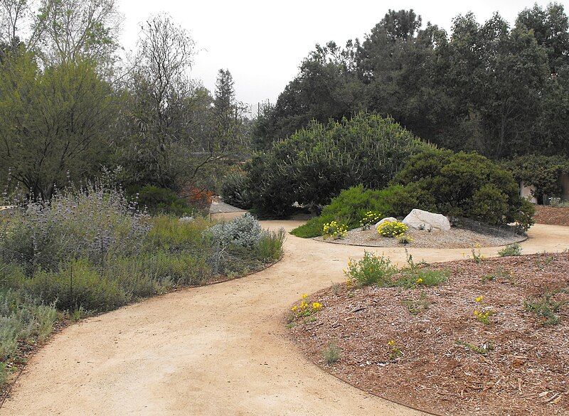 File:Ranchosantaanabotanicgarden.jpg