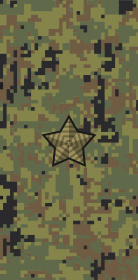 File:Russia-Army-OF-3-camo (2010).svg