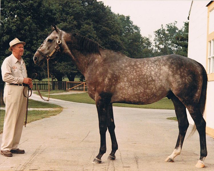 File:Spectacular Bid.jpg