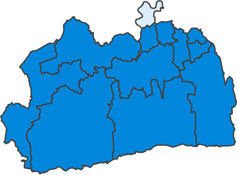 File:SurreyParliamentaryConstituency1922Results.svg