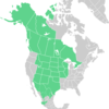 Symphyotrichum falcatum distribution map