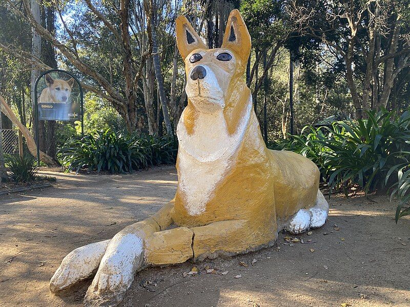 File:The Big Dingo.jpg