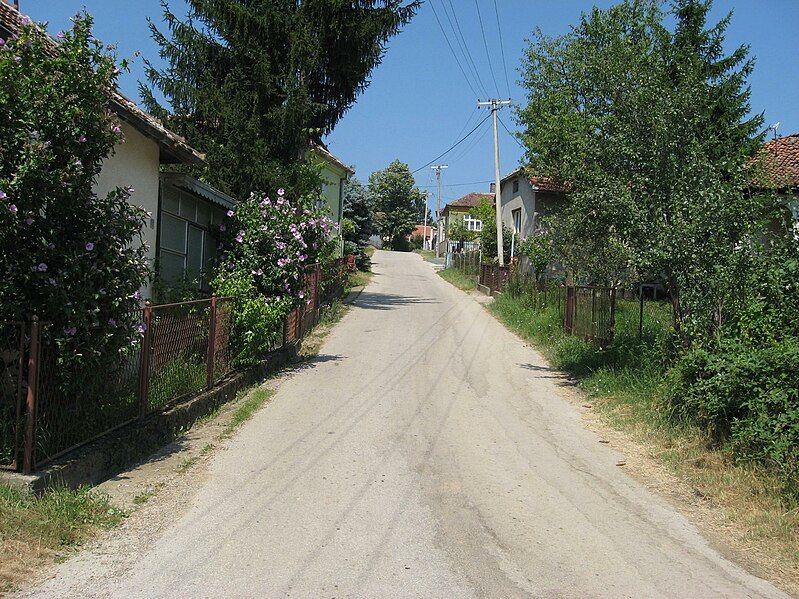 File:Veliko bonjince ulica.JPG