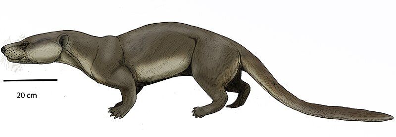 File:Apterodon.jpg