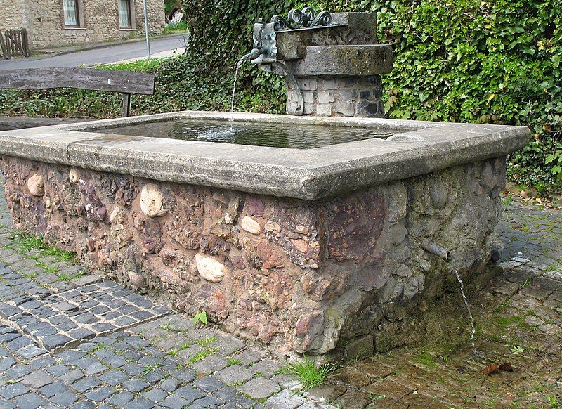 File:Brunnen Rinnen 1569.jpg