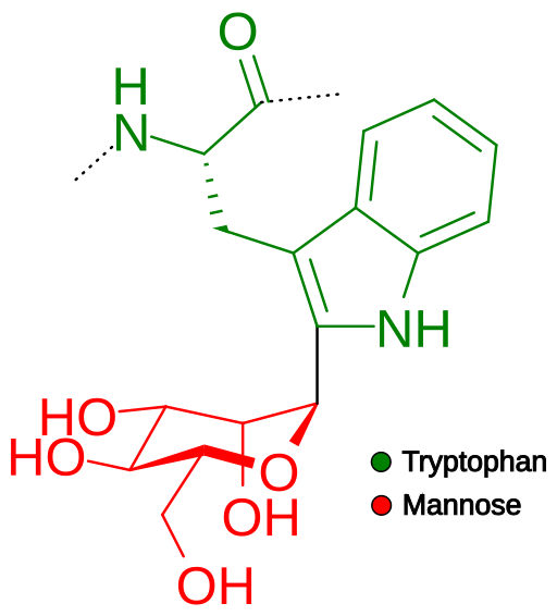 File:C-mannosylation process.svg