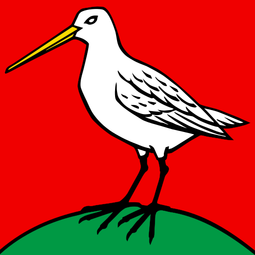 File:CHE Boniswil Flag.svg