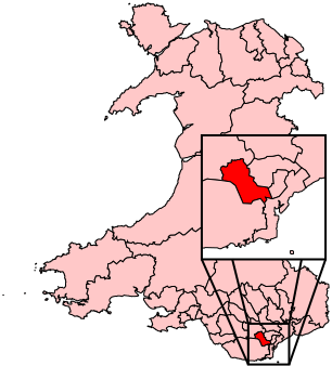 File:CardiffWest2007Constituency.svg