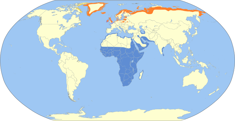 File:Charadrius hiaticula map.svg