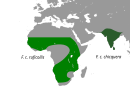 Central, western and southern Africa, India