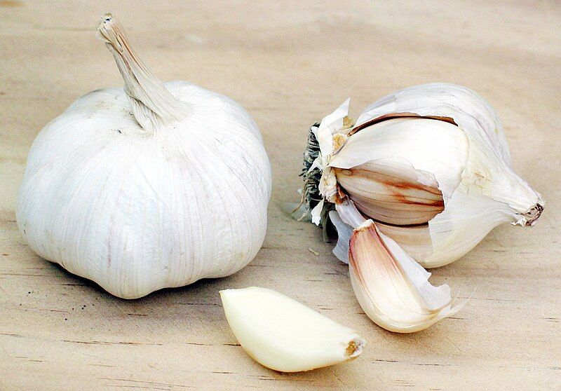 File:Garlic.jpg