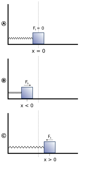 File:Harmonic oscillator.svg