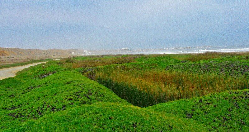 File:HumedalesHuanchaco.JPG