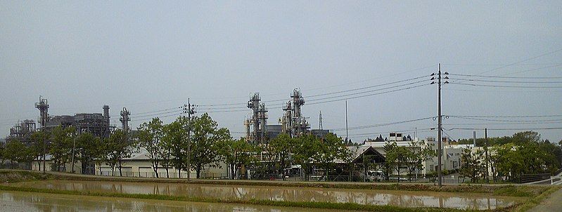 File:Koshijihara Plant.jpg