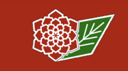 The Labor Flag