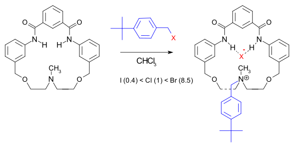 Accelerated reaction.[4]