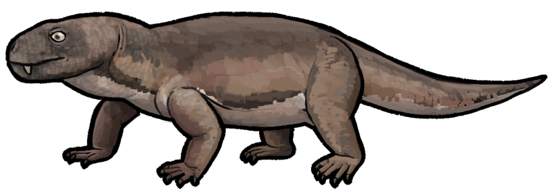 File:Nshimbodon muchingaensis.png