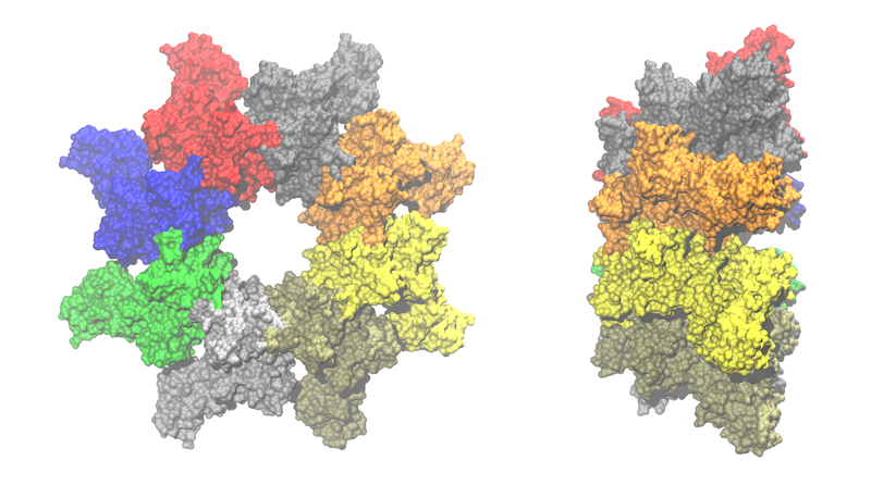 File:PA-63-octamer 3HVD.png