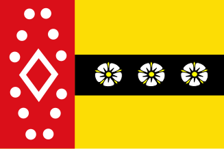 File:Ruinerwold vlag.svg