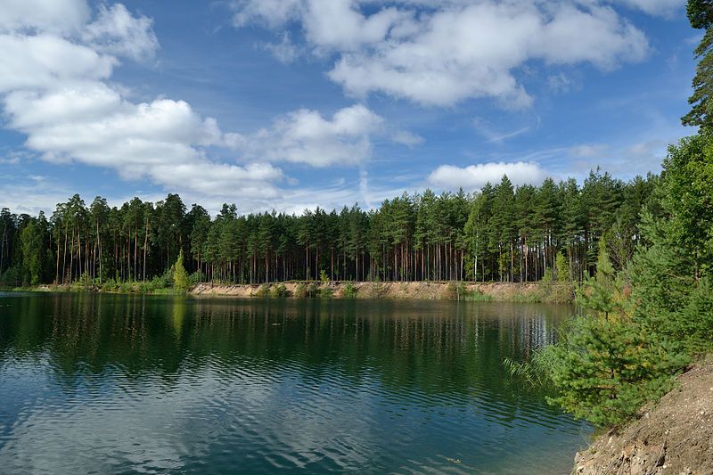 File:Seljametsa järv.jpg