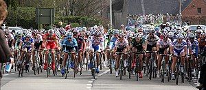 Peloton during 2008 E3 Prijs Vlaanderen