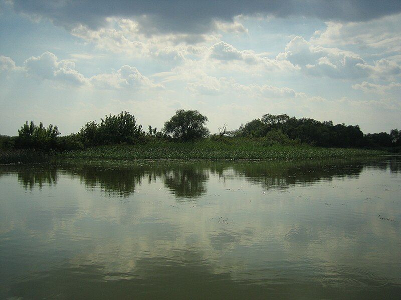 File:Tisza-tó.jpg