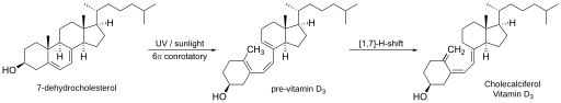 File:Vitamin D3 synthesis.svg